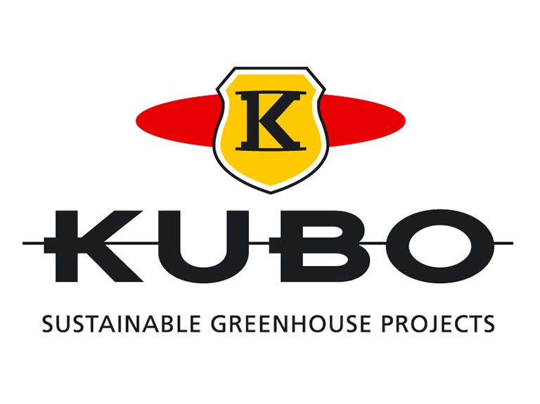 Kubo
